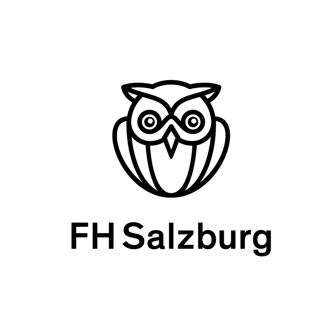 FH Slazburg